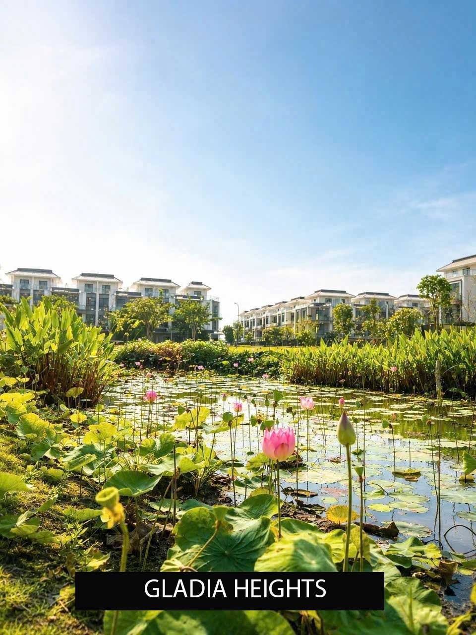 Tiến độ hạ tầng cảnh quan xung quanh dự án Gladia Heights